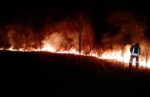 Incendi boschivi: revocato lo stato di massima pericolosità Incendi boschivi: revocato lo stato di massima pericolosità