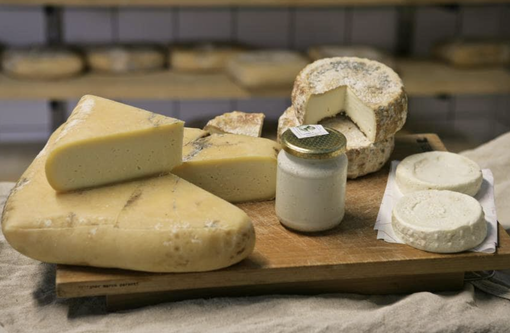 Sabato 6 e domenica 7 luglio le prime edizioni estive di Naturalvercelli e del Barlafus Sabato 6 e domenica 7 luglio le prime edizioni estive di Naturalvercelli e del Barlafus