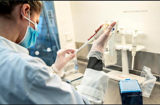 Covid: imboccata la curva discendente