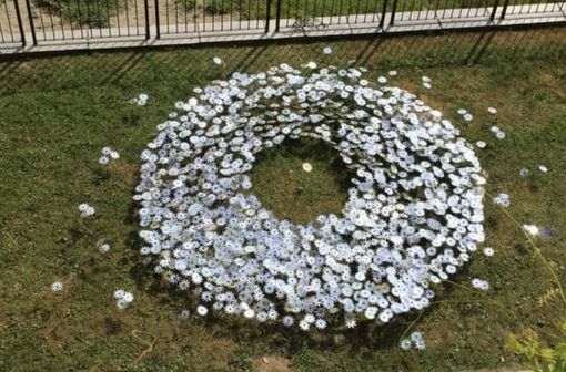 "Un fiore per la Pace", nel ricordo di Andrea Raineri