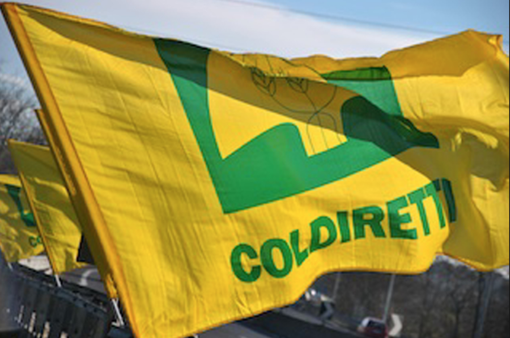 Coldiretti: «Discarica di amianto, penalizzato tutto il territorio» Coldiretti: «Discarica di amianto, penalizzato tutto il territorio»