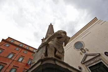 Roma, danneggiata scultura dell'Elefantino in piazza della Minerva: zanna spezzata