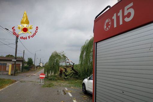 Villarboit, danni per la caduta di un albero Villarboit, danni per la caduta di un albero