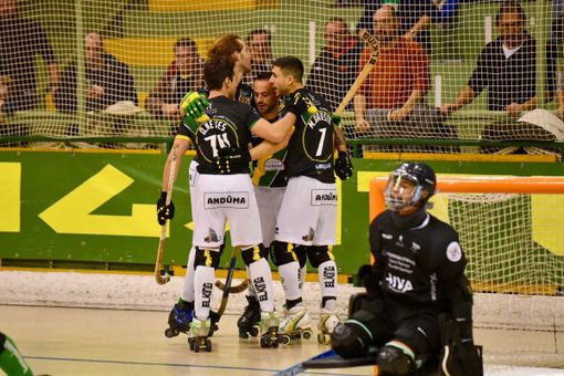 Nella foto di Ilaria Pozzato, i giocatori di Engas Hockey vercelli esultano dopo una rete.