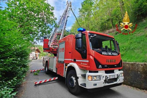 Albero pericolante, interviene anche l'autoscala Albero pericolante, interviene anche l'autoscala