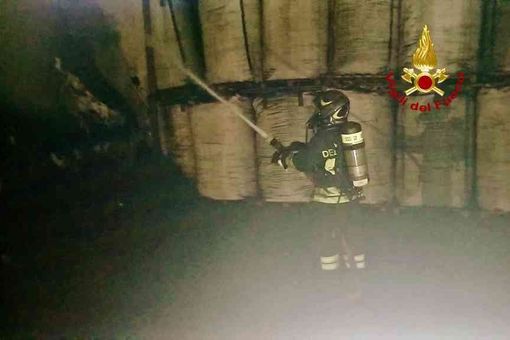 Incendio nello stabilimento che tratta la lolla di riso -VIDEO Incendio nello stabilimento che tratta la lolla di riso -VIDEO