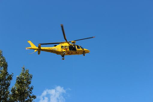 Azzannata da un cane, è in codice rosso
