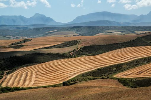 Cosa bisogna sapere prima di acquistare un aratro?