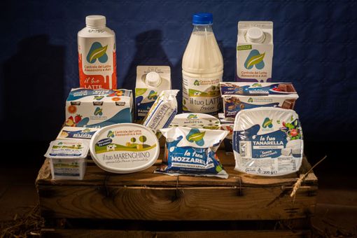 Cooperativa Piemonte Latte: l’accordo con Granarolo che conferma il valore imprenditoriale della cooperazione Cooperativa Piemonte Latte: l’accordo con Granarolo che conferma il valore imprenditoriale della cooperazione