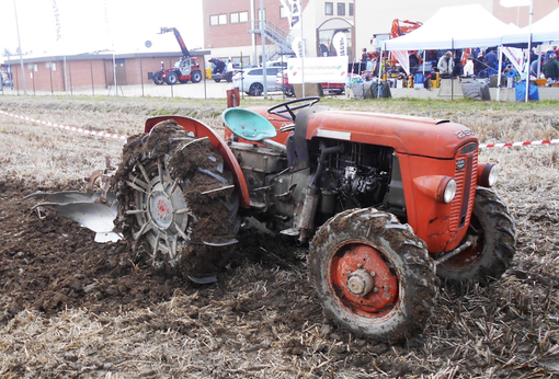 Immagini della Fiera in campo edizione numero 45 Immagini della Fiera in campo edizione numero 45