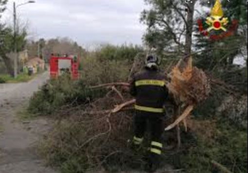 Vento forte: guasti alla linea elettrica e disagi a catena