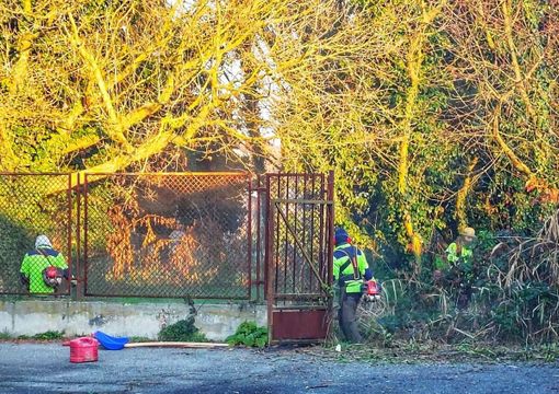 I lavori nel parco della scuola materna di via Anadone