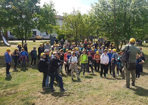 In 120 a spasso per il Bosco della Partecipanza In 120 a spasso per il Bosco della Partecipanza