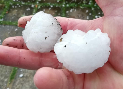Gattinara, grandine e danni sulle colline del vino docg