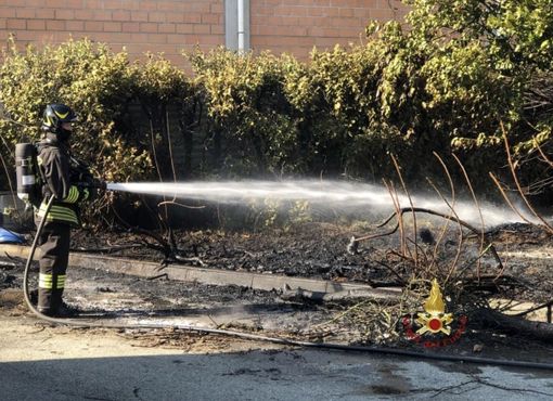 Sterpaglie a fuoco: l'incendio distrugge anche una baracchetta in legno Sterpaglie a fuoco: l'incendio distrugge anche una baracchetta in legno