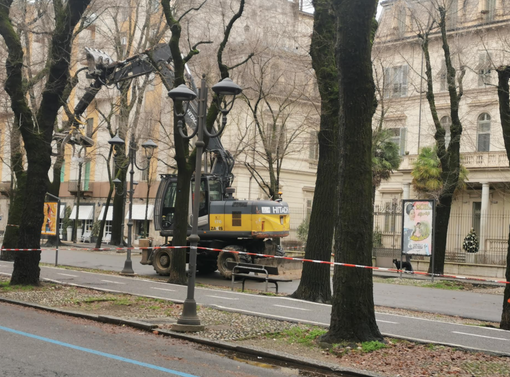 Lavori in viale Garibaldi, se ne parla lunedì in Comune (aperto al pubblico) Lavori in viale Garibaldi, se ne parla lunedì in Comune (aperto al pubblico)
