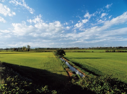 Turismo, la rivelazione dell'anno è Atl Terre dell'Alto Piemonte: oltre 500 mila arrivi e più di 1 milione e 100 mila presenze Turismo, la rivelazione dell'anno è Atl Terre dell'Alto Piemonte: oltre 500 mila arrivi e più di 1 milione e 100 mila presenze