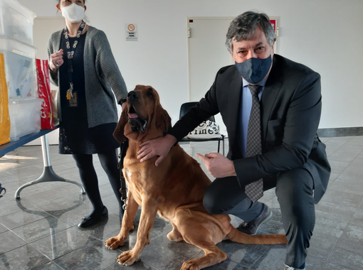 Cuneo, canti anti Covid in aeroporto Cuneo, canti anti Covid in aeroporto