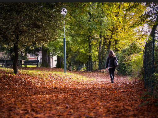 Compendio Parco Magni: in arrivo un nuovo bando per la gestione