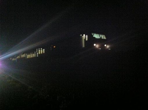 Il treno investe un cinghiale e resta bloccato per ore in campagna