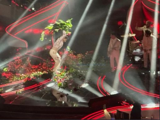 Festival di Sanremo 2023: Blanco distrugge i fiori sul palco, i commenti negativi di Berrino, Scajola e Piana