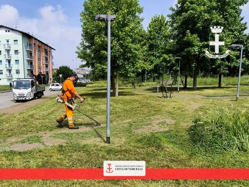 Verde, il piano degli interventi della settimana Verde, il piano degli interventi della settimana