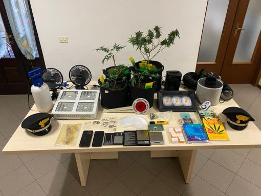 In casa una serra di marijuana: in arresto un 22enne In casa una serra di marijuana: in arresto un 22enne