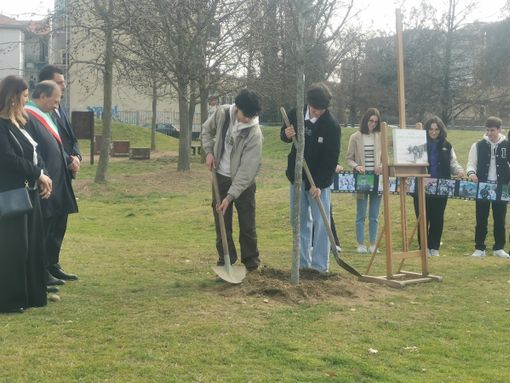 L'albero dei Giusti per Armin Wegner, testimone del genocidio degli Armeni - foto