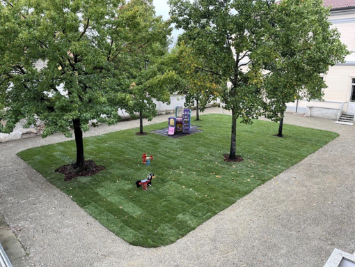 Un mini Piantale alla scuola materna