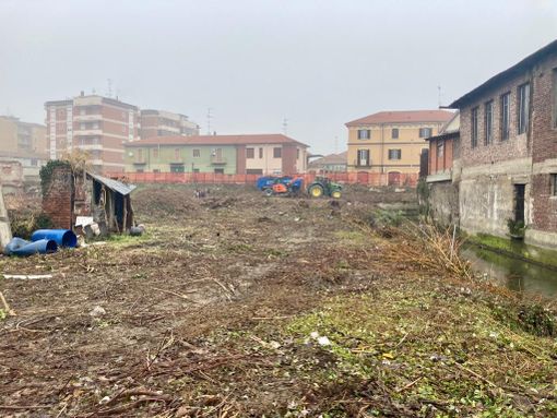 Anfiteatro, ripulita l'area verde. Si preparano i nuovi scavi