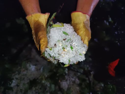 Maltempo infuria nella notte, alberi sulle strade e grandine nel Biellese FOTO
