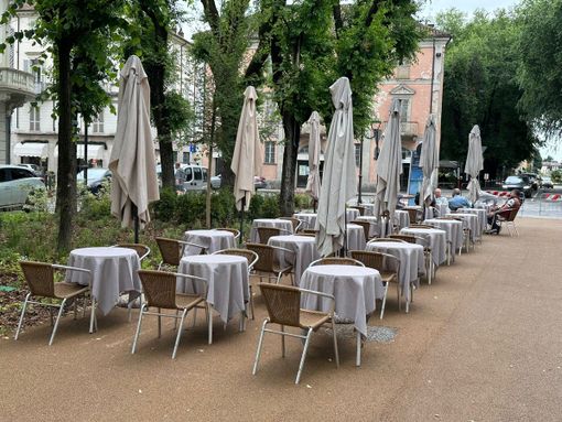 Sul verde l'assessore Prencipe critica... se stesso (ma non lo dice) Sul verde l'assessore Prencipe critica... se stesso (ma non lo dice)