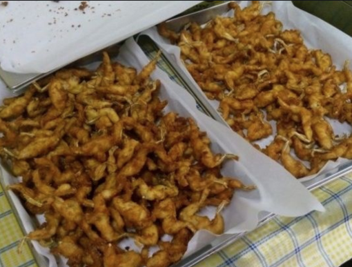 Al via la Sagra della Rana Al via la Sagra della Rana