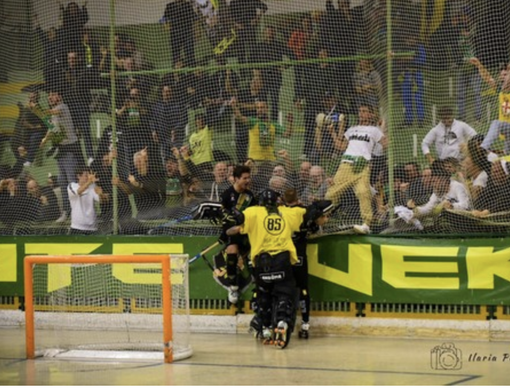 Il Palapregnolato Il Palapregnolato