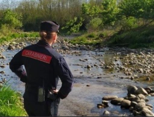 Preleva l'acqua abusivamente dal "Canalone Lora” per bagnare l'orto, la Forestale sanziona 72enne di Valdilana Preleva l'acqua abusivamente dal "Canalone Lora” per bagnare l'orto, la Forestale sanziona 72enne di Valdilana