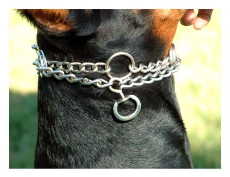 Un po' di chiarezza sul collare a strozzo Un po' di chiarezza sul collare a strozzo