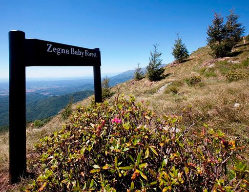 Vercellese si perde sui monti dell'Oasi Zegna