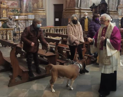 Torna la benedizione degli animali