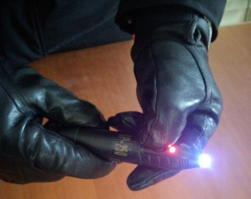 Cerca di colpire il cane da guardia con il taser: nei guai un 73enne