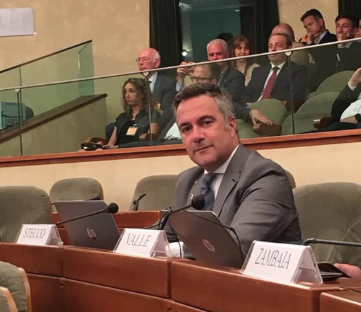 ALESSANDRO STECCO ALESSANDRO STECCO