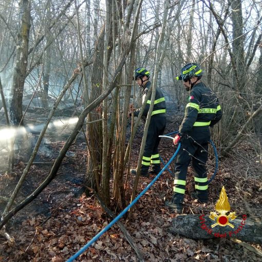 Incendio tra Rovasenda e Roasio: Vigili del Fuoco e Aib domano il rogo