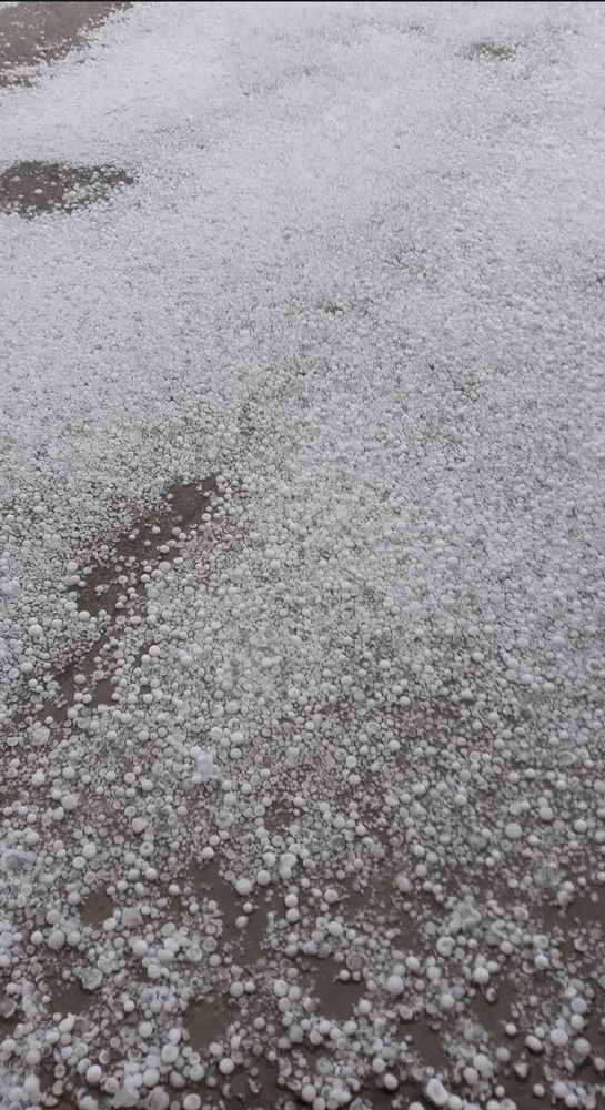 Balocco: grandinata devastante Balocco: grandinata devastante