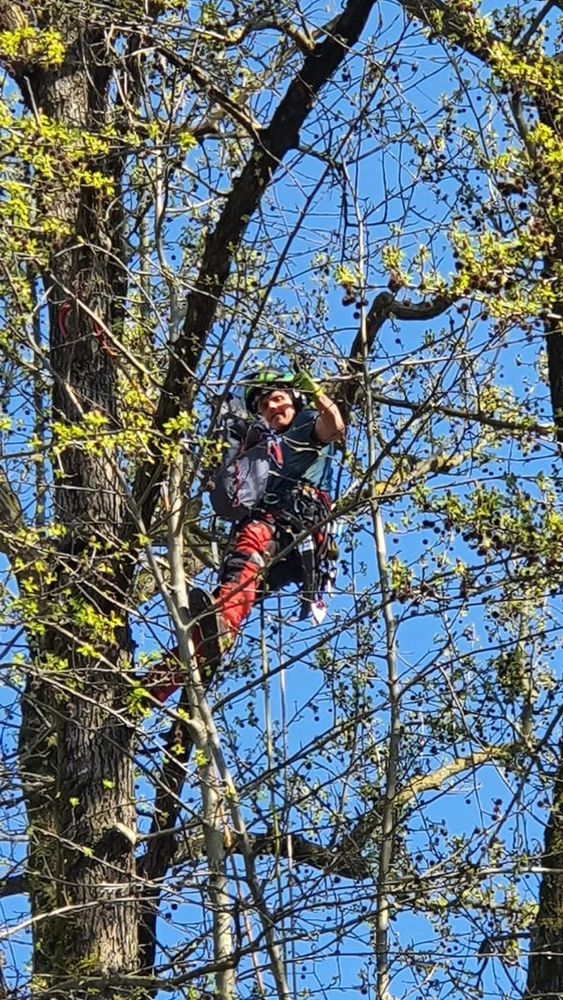 blob:https://publisher.morenews.it/1d1fc9f4-84d8-4004-b7d6-e48720a04093