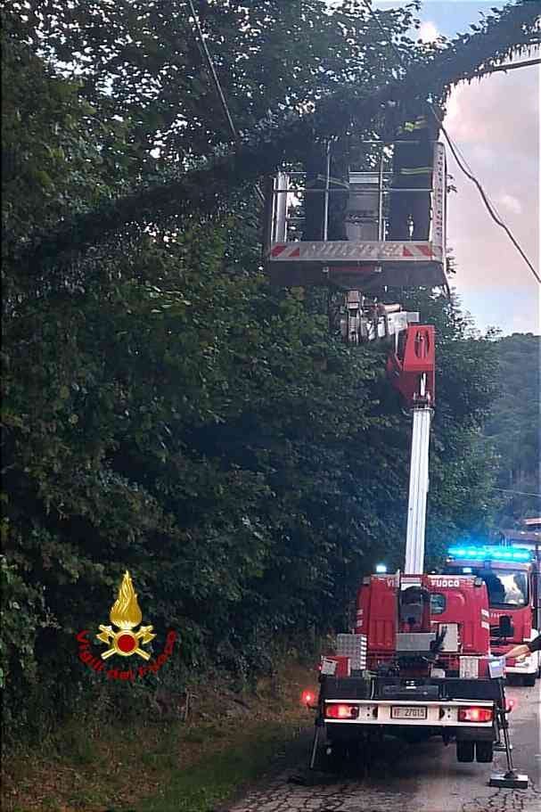 Alberi pericolanti in Valsesia, serata di lavoro per i Vigili del fuoco Alberi pericolanti in Valsesia, serata di lavoro per i Vigili del fuoco
