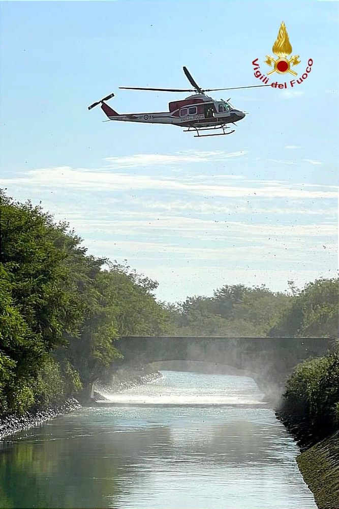 Era scomparsa da Saluggia, ritrovata morta dopo due giorni di ricerche Era scomparsa da Saluggia, ritrovata morta dopo due giorni di ricerche