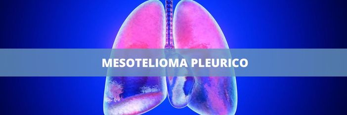 Amianto nelle scuole: la Corte d’Appello di Trieste condanna il Ministero dell’Istruzione e del merito per una vittima di mesotelioma Amianto nelle scuole: la Corte d’Appello di Trieste condanna il Ministero dell’Istruzione e del merito per una vittima di mesotelioma