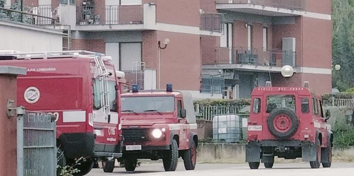 Incendio distrugge quasi un ettaro di bosco Incendio distrugge quasi un ettaro di bosco