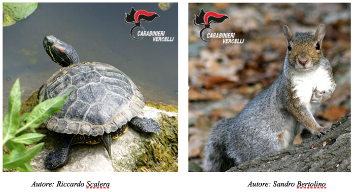 Foto tratte dal sito del ministero dell'Ambiente