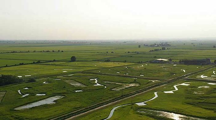 Fai Giovani, alla Cascina Oschiena per un evento sulla biodiversità Fai Giovani, alla Cascina Oschiena per un evento sulla biodiversità