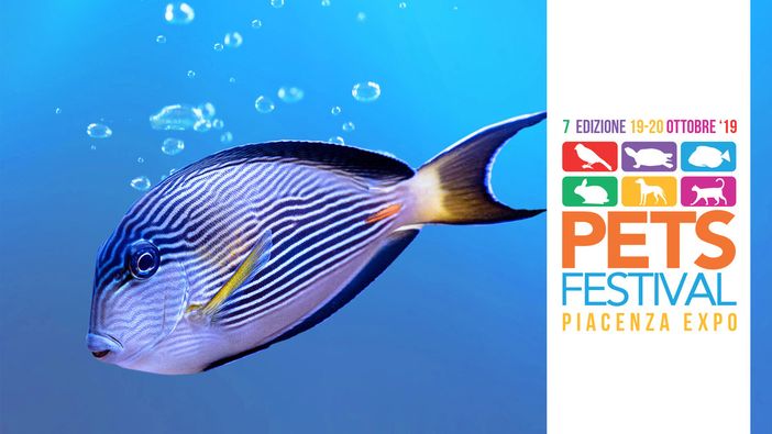 A Petsfestival c’è la più grande fiera di acquari d’Italia A Petsfestival c’è la più grande fiera di acquari d’Italia